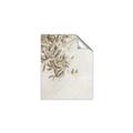 Picture of Few Olive Tree Leaves _GroupedProduct_Rectangle_Portrait_Photography _GroupedProduct_Rectangle_Portrait_Unframed_Print_Only_