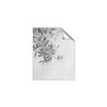 Picture of Few Olive Tree Leaves _GroupedProduct_Rectangle_Portrait_Photography _GroupedProduct_Rectangle_Portrait_Unframed_Print_Only_