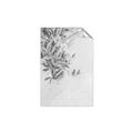 Picture of Few Olive Tree Leaves _GroupedProduct_Rectangle_Portrait_Photography _GroupedProduct_Rectangle_Portrait_Unframed_Print_Only_