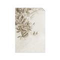 Picture of Few Olive Tree Leaves _GroupedProduct_Rectangle_Portrait_Photography _GroupedProduct_Rectangle_Portrait_Unframed_Print_Only_