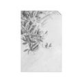 Picture of Few Olive Tree Leaves _GroupedProduct_Rectangle_Portrait_Photography _GroupedProduct_Rectangle_Portrait_Unframed_Print_Only_