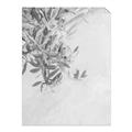 Picture of Few Olive Tree Leaves _GroupedProduct_Rectangle_Portrait_Photography _GroupedProduct_Rectangle_Portrait_Unframed_Print_Only_