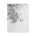 Picture of Few Olive Tree Leaves _GroupedProduct_Rectangle_Portrait_Photography _GroupedProduct_Rectangle_Portrait_Unframed_Print_Only_