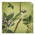 Picture of Vintage Tropical Birds I _GroupedProduct_Square_Unframed_Print_Only_
