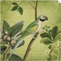 Picture of Vintage Tropical Birds I _GroupedProduct_Square_Unframed_Print_Only_