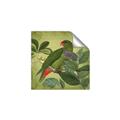 Picture of Vintage Tropical Birds II _GroupedProduct_Square_Unframed_Print_Only_