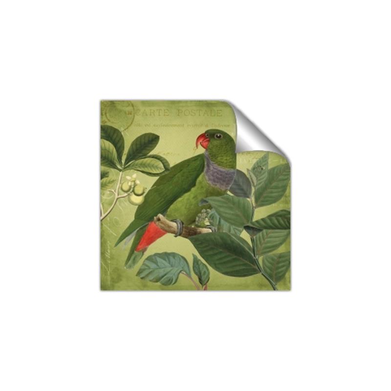 Picture of Vintage Tropical Birds II _GroupedProduct_Square_Unframed_Print_Only_