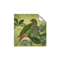 Picture of Vintage Tropical Birds II _GroupedProduct_Square_Unframed_Print_Only_