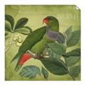 Picture of Vintage Tropical Birds II _GroupedProduct_Square_Unframed_Print_Only_