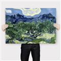 Picture of Vincent Van Gogh's Olive Trees With the Alpilles (1889) _GroupedProduct_Rectangle_Landscape_Canvas_