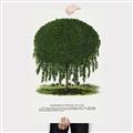 Picture of Kilmarnock Weeping Willow Tree Lithograph _GroupedProduct_Rectangle_Portrait_Canvas_