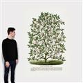 Picture of Hardy Magnolia Tree Lithograph _GroupedProduct_Rectangle_Portrait_Canvas_