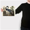 Picture of Vintage Heron Bird _GroupedProduct_Rectangle_Landscape_Canvas_