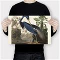 Picture of Vintage Heron Bird _GroupedProduct_Rectangle_Landscape_Canvas_