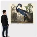 Picture of Vintage Heron Bird _GroupedProduct_Rectangle_Landscape_Canvas_