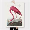 Picture of Vintage Pink Flamingo _GroupedProduct_Rectangle_Portrait_Canvas_