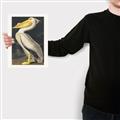 Picture of Vintage White Pelican _GroupedProduct_Rectangle_Portrait_Canvas_