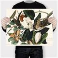 Picture of Black Billed Cuckoo Bird _GroupedProduct_Rectangle_Landscape_Canvas_
