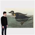 Picture of Vintage Scoter Duck _GroupedProduct_Rectangle_Landscape_Canvas_