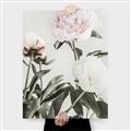 Picture of Romantic Blur Peony V _GroupedProduct_Rectangle_Portrait_Photography _GroupedProduct_Rectangle_Portrait_Canvas_