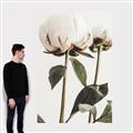 Picture of Romantic Blur Peony IV _GroupedProduct_Rectangle_Portrait_Photography _GroupedProduct_Rectangle_Portrait_Canvas_