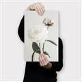 Picture of Romantic Blur Peony III _GroupedProduct_Rectangle_Portrait_Photography _GroupedProduct_Rectangle_Portrait_Canvas_