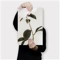 Picture of Romantic Blur Peony II _GroupedProduct_Rectangle_Portrait_Photography _GroupedProduct_Rectangle_Portrait_Canvas_