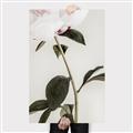 Picture of Romantic Blur Peony II _GroupedProduct_Rectangle_Portrait_Photography _GroupedProduct_Rectangle_Portrait_Canvas_