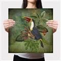 Picture of Tropical Paradise Toucan Bird _GroupedProduct_Square_Canvas_