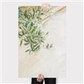 Picture of Few Olive Tree Leaves _GroupedProduct_Rectangle_Portrait_Photography _GroupedProduct_Rectangle_Portrait_Canvas_