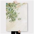 Picture of Few Olive Tree Leaves _GroupedProduct_Rectangle_Portrait_Photography _GroupedProduct_Rectangle_Portrait_Canvas_