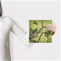 Picture of Vintage Tropical Birds I _GroupedProduct_Square_Canvas_