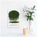 Picture of Kilmarnock Weeping Willow Tree Lithograph _GroupedProduct_Rectangle_Portrait_Canvas_