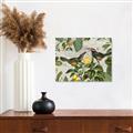 Picture of Parrots Nostalgic Journey 2 _GroupedProduct_Rectangle_Landscape_Canvas_