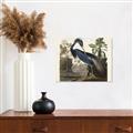 Picture of Vintage Heron Bird _GroupedProduct_Rectangle_Landscape_Canvas_