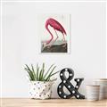 Picture of Vintage Pink Flamingo _GroupedProduct_Rectangle_Portrait_Canvas_
