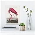 Picture of Vintage Pink Flamingo _GroupedProduct_Rectangle_Portrait_Canvas_
