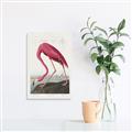 Picture of Vintage Pink Flamingo _GroupedProduct_Rectangle_Portrait_Canvas_