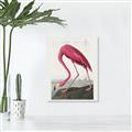 Picture of Vintage Pink Flamingo _GroupedProduct_Rectangle_Portrait_Canvas_