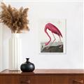 Picture of Vintage Pink Flamingo _GroupedProduct_Rectangle_Portrait_Canvas_