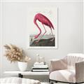 Picture of Vintage Pink Flamingo _GroupedProduct_Rectangle_Portrait_Canvas_