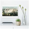 Picture of Vintage Floating White Swan _GroupedProduct_Rectangle_Landscape_Canvas_