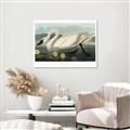 Picture of Vintage Floating White Swan _GroupedProduct_Rectangle_Landscape_Canvas_