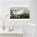 Picture of Vintage Floating White Swan _GroupedProduct_Rectangle_Landscape_Canvas_