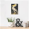 Picture of Vintage White Pelican _GroupedProduct_Rectangle_Portrait_Canvas_