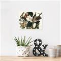 Picture of Black Billed Cuckoo Bird _GroupedProduct_Rectangle_Landscape_Canvas_