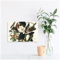 Picture of Black Billed Cuckoo Bird _GroupedProduct_Rectangle_Landscape_Canvas_