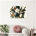 Picture of Black Billed Cuckoo Bird _GroupedProduct_Rectangle_Landscape_Canvas_