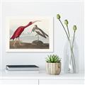 Picture of Vintage Scarlet Ibis Bird _GroupedProduct_Rectangle_Landscape_Canvas_