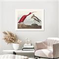 Picture of Vintage Scarlet Ibis Bird _GroupedProduct_Rectangle_Landscape_Canvas_